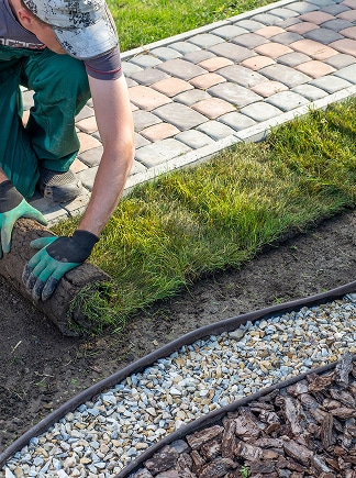 Pose gazon rouleau : réussir votre aménagement paysager. Un paysagiste pose du gazon en rouleau à côté d'une allée de pavés. Le nouveau gazon est délimité par une bordure de gravier et d'écorces.